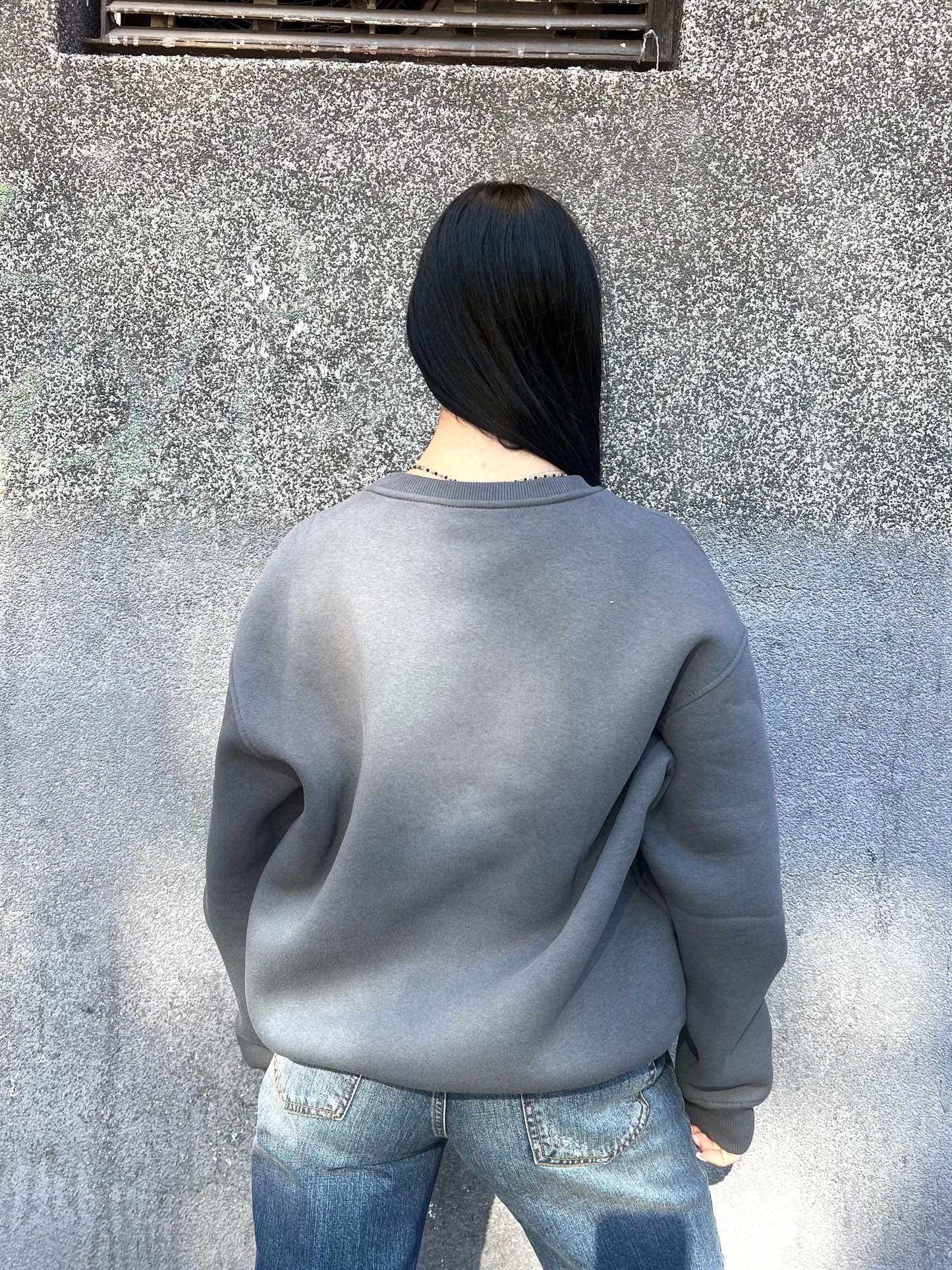 SUSY MIX FELPA GIROCOLLO STAMPA “LION” PIOMBO